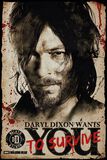 Daryl Dixon - Survive, The Walking Dead, Poster