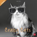 Crazy Cats 2015, Crazy Cats, Wandkalender