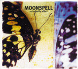 The butterfly effect