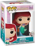 Arielle Vinyl Figure 563