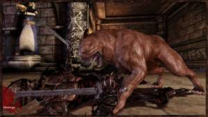 Dragon Age: Origins EA/Bioware