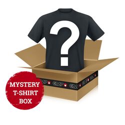 zufälliges T-Shirt aus dem Bereich Film und TV nach unserer Wahl, Mystery Shirt, T-Shirt