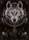 Wolf Dreams, Spiral, Poster