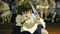 Studio Ghibli - Prinzessin Mononoke