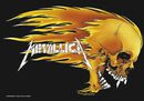Skull & Flames, Metallica, Flagge