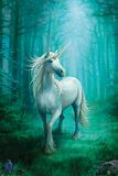 Forest Unicorn, Anne Stokes, Poster