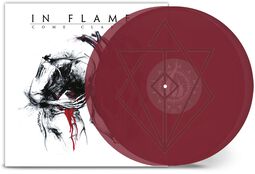 Come clarity, In Flames, LP