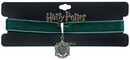 Slytherin Crest Charm Necklace, Harry Potter, Halskette