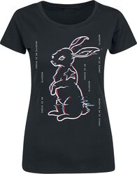 4 - Rabbit