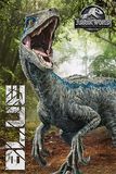 Jurassic World - Fallen Kingdom - Blue, Jurassic Park, Poster