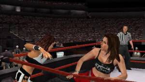 WWE SmackDown! vs. Raw 2008 THQ