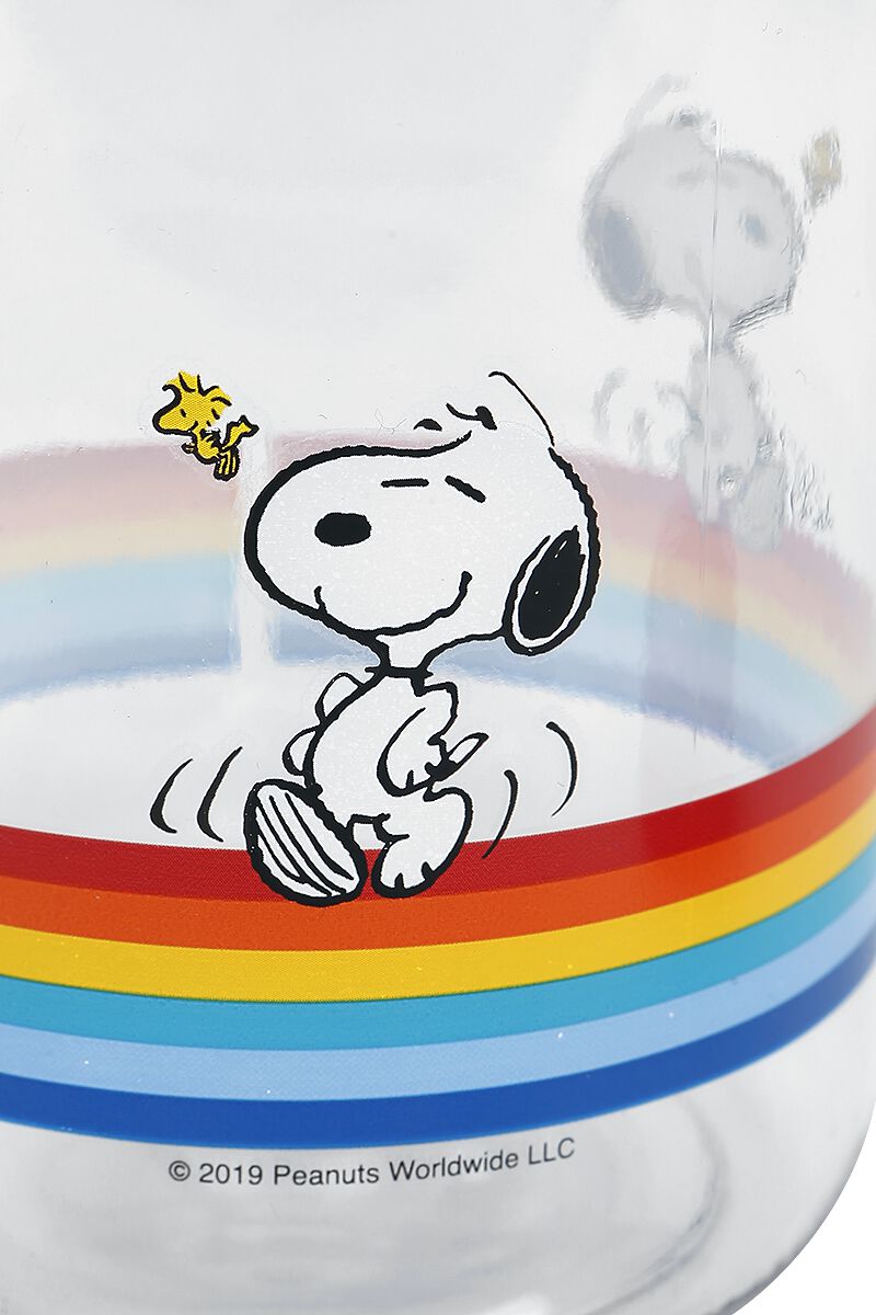 Snoopy & Woodstock | Peanuts Trinkflasche | EMP