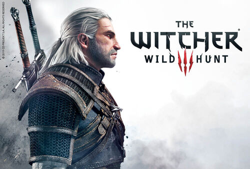 The Witcher