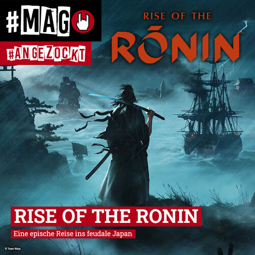 Rise of the Ronin