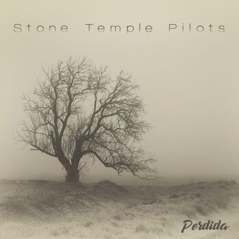 Stone Temple Pilots - Cover