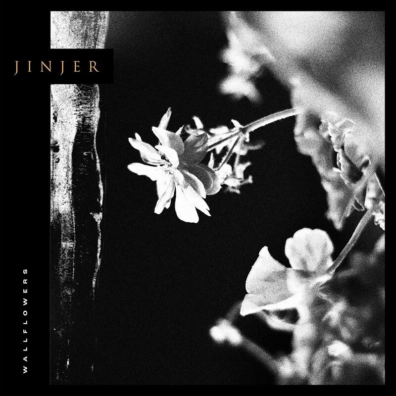 Jinjer - Cover
