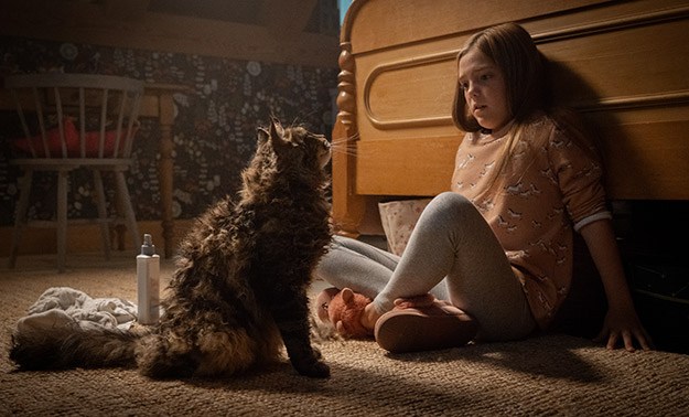 friedhof-der-kuscheltiere-1