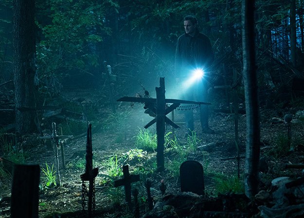 friedhof-der-kuscheltiere-2