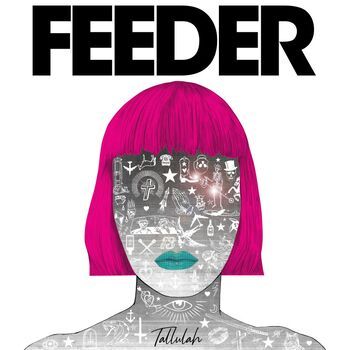 Feeder - Cover